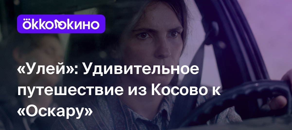 Улей»: Удивительное путешествие из Косово к «Оскару» - Блог OKKOLOKINO -  OKKOLOKINO