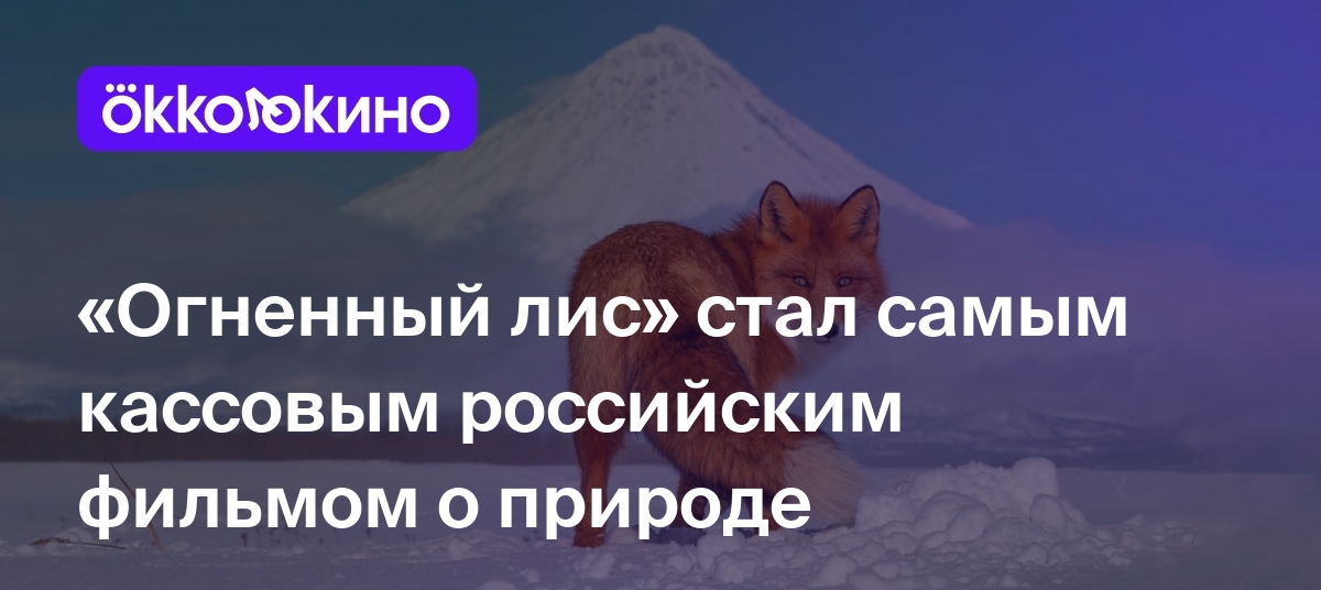 Огненный лис» стал самым кассовым российским фильмом о природе - OKKOLOKINO