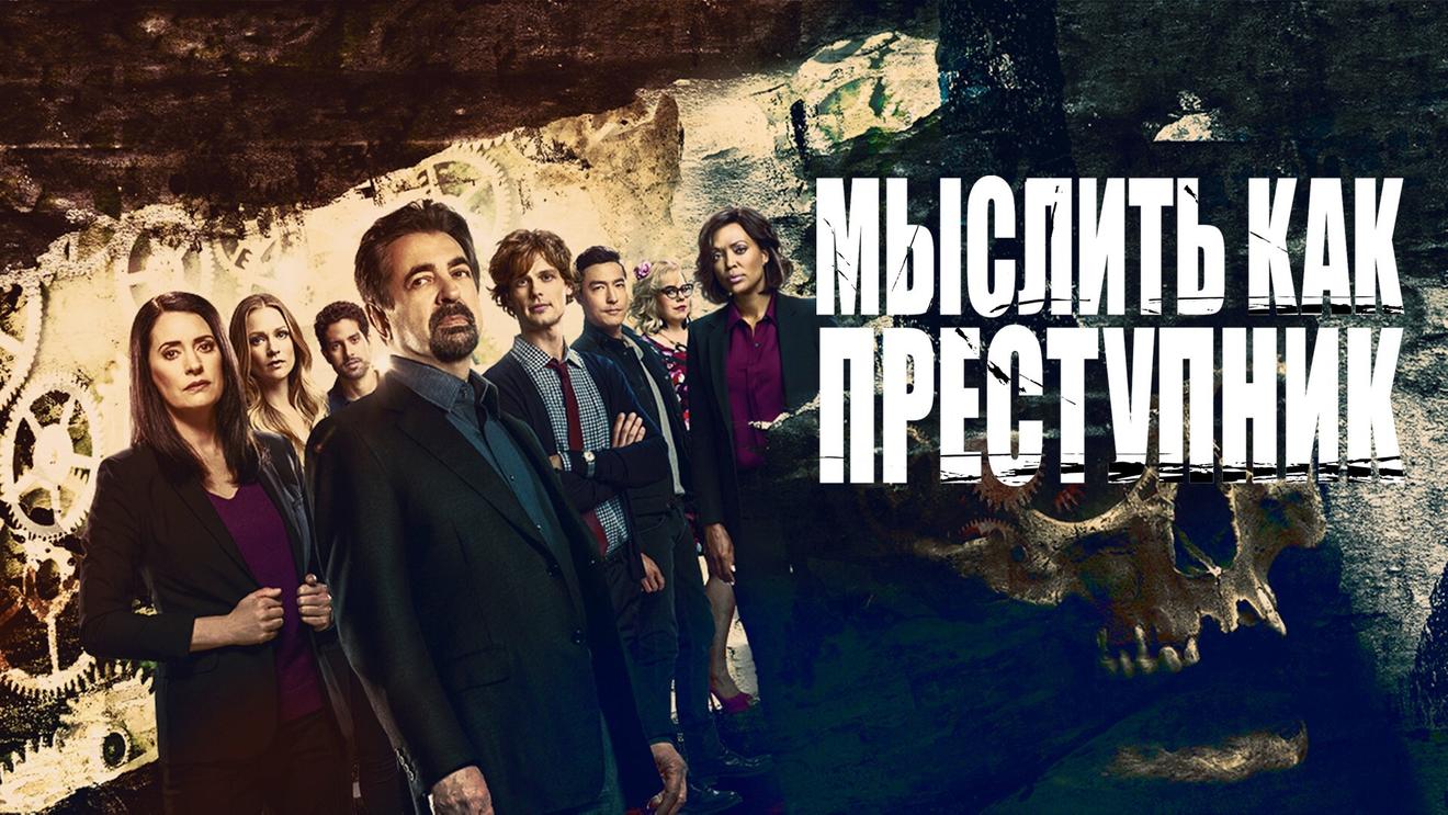 Сериалы про фбр