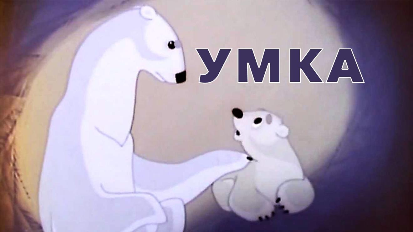 аниме про белых медведей (91) фото