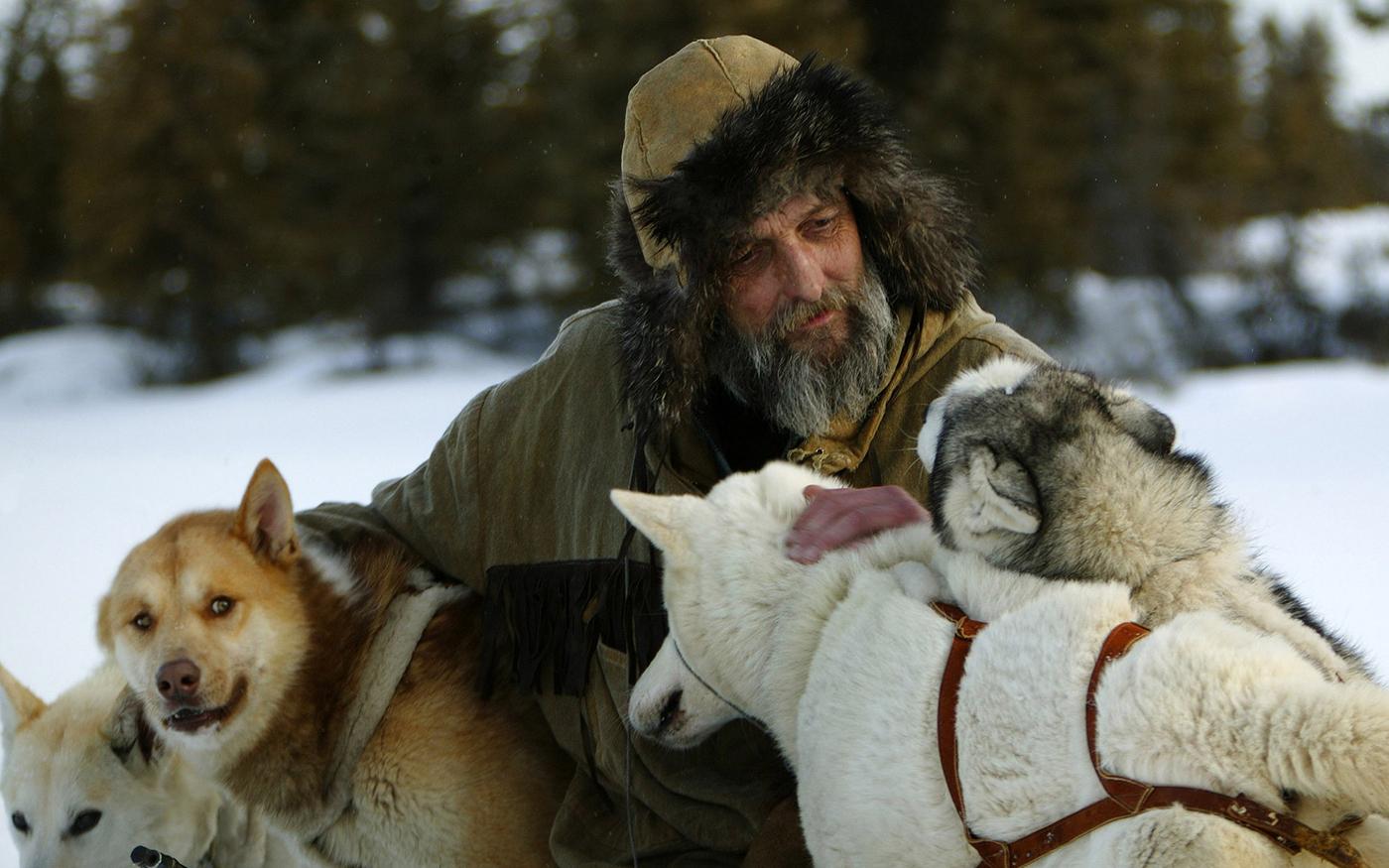 10 фильмов про собак в упряжке - OKKOLOKINO