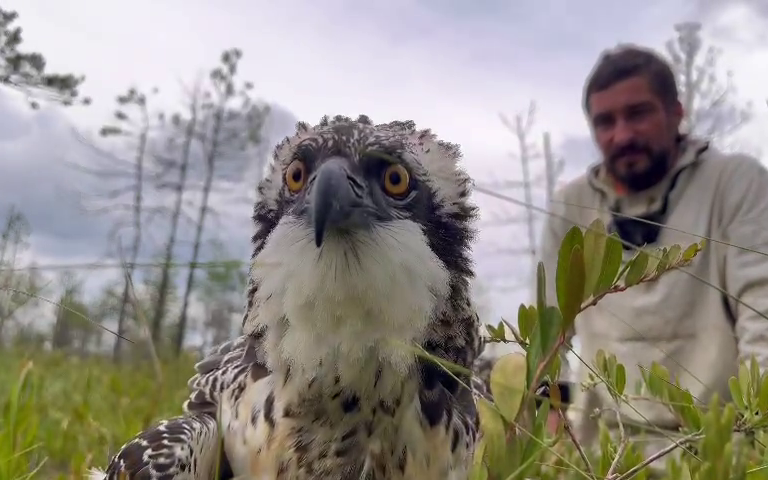 Фильм «Наука о жизни»