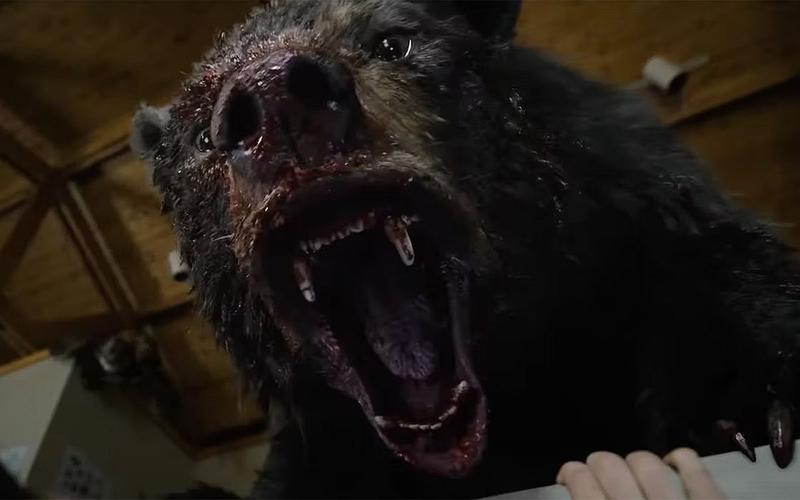 Трейлер черной комедии «Кокаиновый медведь»: Безумная история о хищнике под кайфом