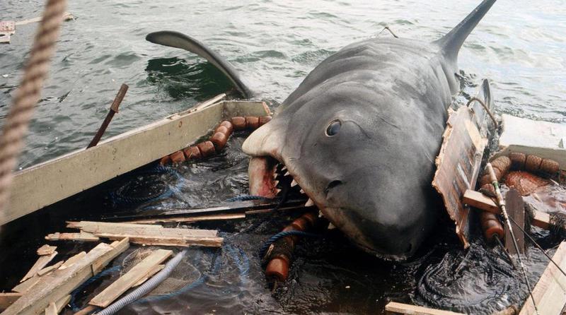 Топ-10 фильмов про акул: Опасность из глубины