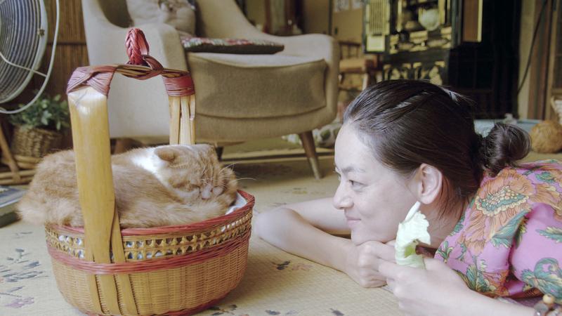 От «Гарфилда» до «Лунатиков»: 10 фильмов про котов и кошек