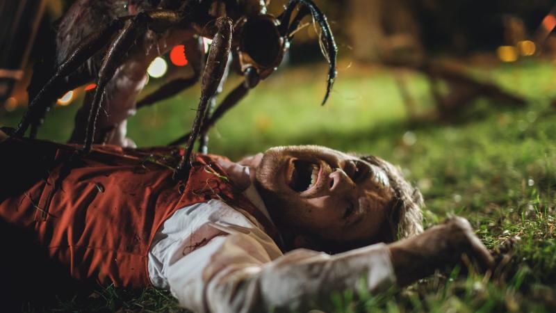 Энтомологический кошмар: 10 фильмов про насекомых