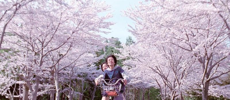 Китано, Корээда и Хамагути: 10 современных японских фильмов от 10 прекрасных режиссеров