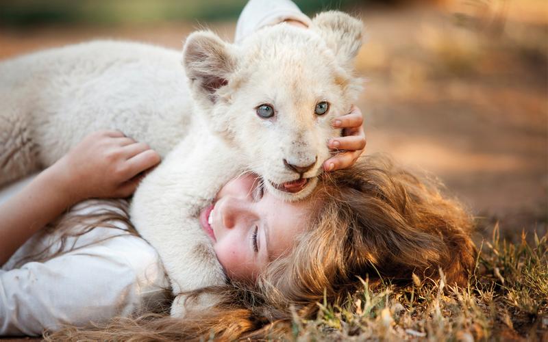 Царь зверей: 10 лучших фильмов про львов