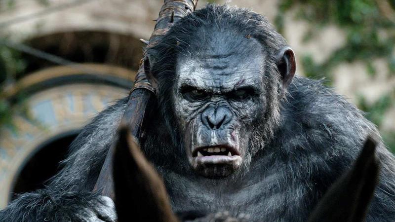 Кобу в массы: Персонаж «Планеты обезьян» попал в другие фильмы