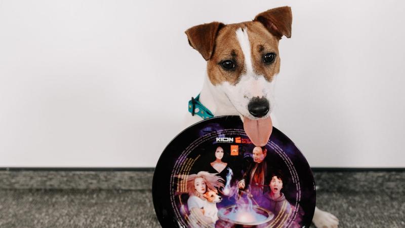 Стартовали съемки сериала «Жека Рассел» с Викторией Агалаковой