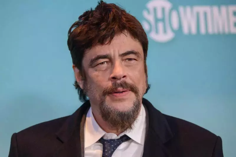 Бенисио Дель Торо сыграет в новом фильме Пола Томаса Андерсона