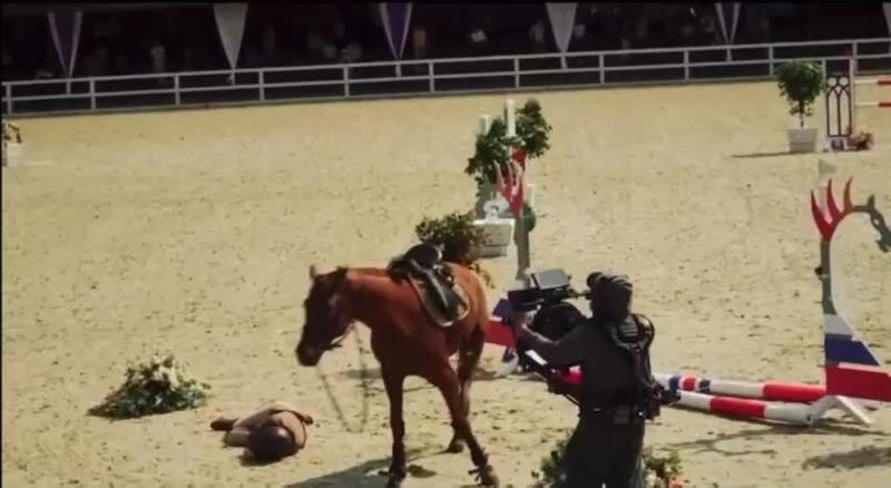 Зоозащитники требуют привлечь команду фильма «Мой любимый чемпион» к ответственности