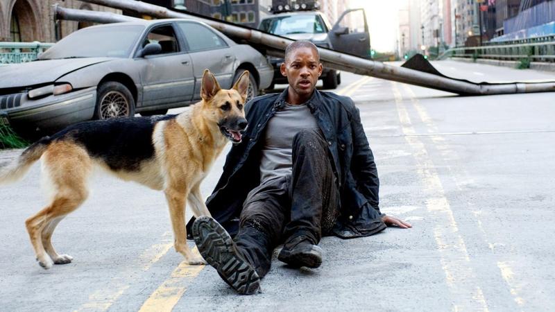 Режиссер «Крида 2» может поставить продолжение «Я — легенда» с Уиллом Смитом