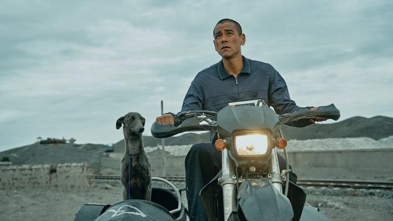 Зрительская премьера китайской драмы «Черный пес» состоится в конце августа