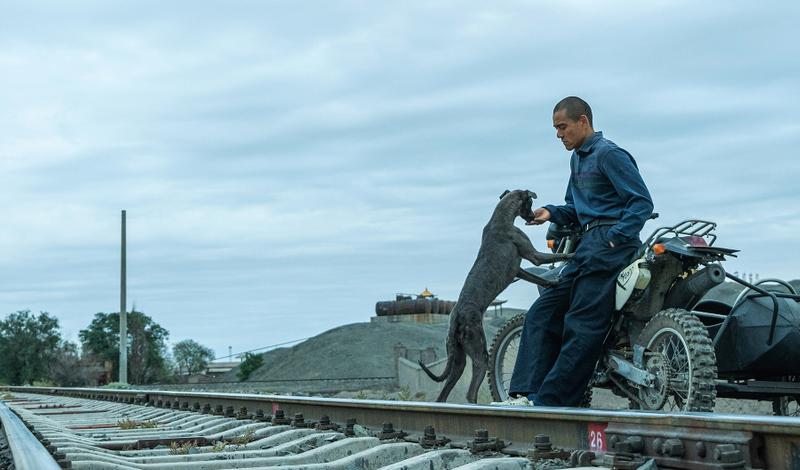 Трейлер драмы «Черный пес» — призера Каннского фестиваля
