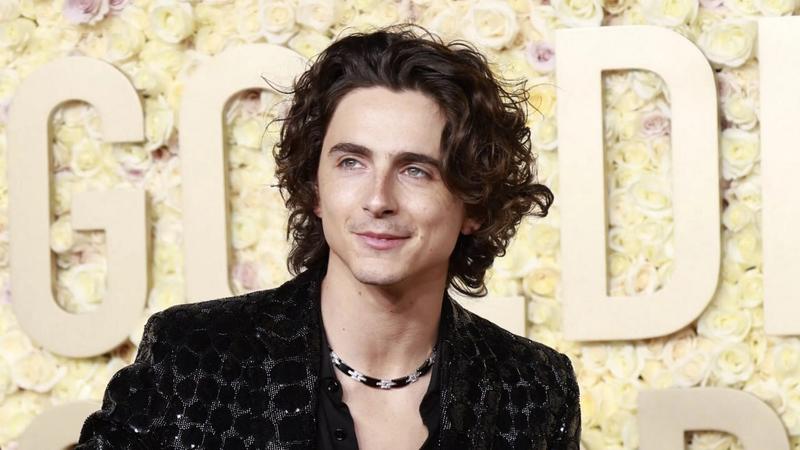 Тимоти Шаламе посетил конкурс собственных двойников в Нью-Йорке