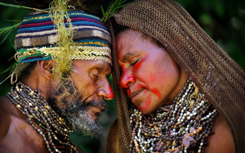 Путешествие через экран: Документальные фильмы BBC