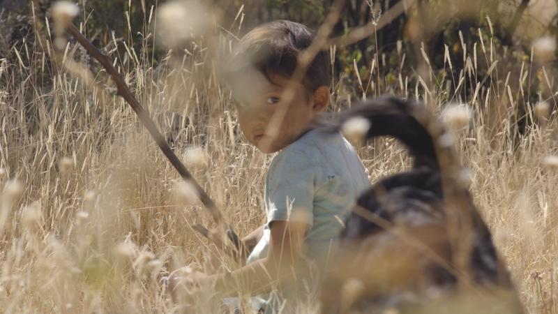 Трейлер криминальный драмы «Сухо»: История взросления в суровом мире