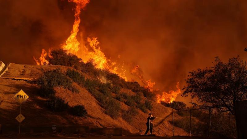 Объявление номинантов премии Гильдии продюсеров отложили из-за пожаров в Лос-Анджелесе