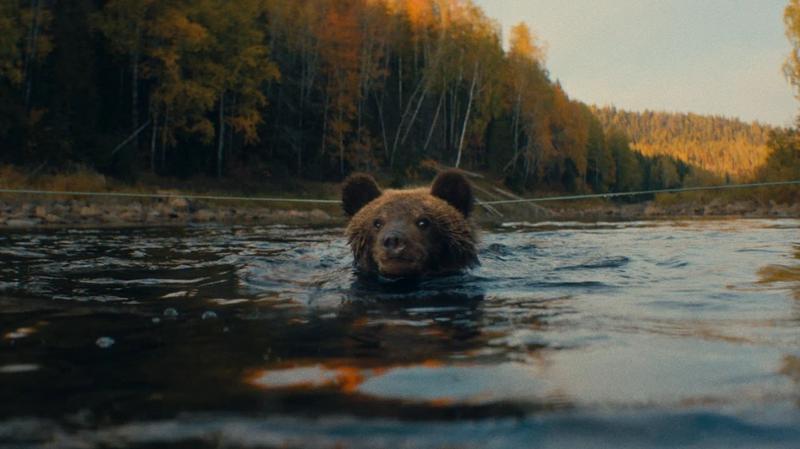 Сиквел «Пальмы» вышел в российских кинотеатрах