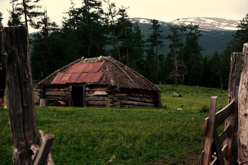 «Волки» Михаила Кулунакова выйдут осенью 2025 года