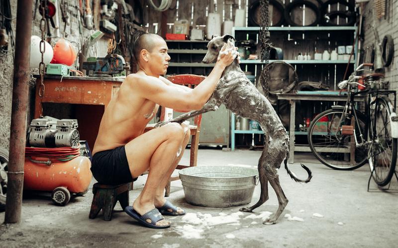 Дешифровщик, странный папа и Джеки Чан: 10 новых китайских фильмов, которые стоит посмотреть