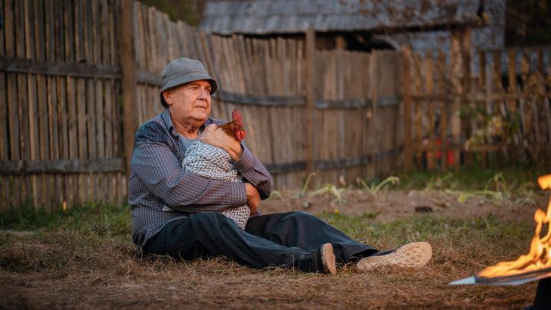 Комедия «На деревню дедушке» с Юрием Стояновым возглавила кинопрокат в России за выходные