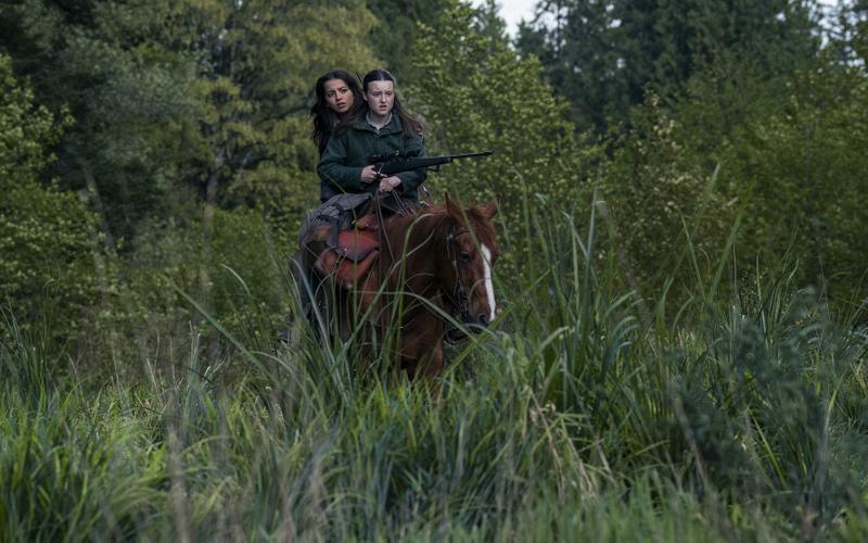 «Разделение», «Игра в кальмара» и «Белый лотос»: Новые сезоны любимых сериалов, которые вышли в 2025 году