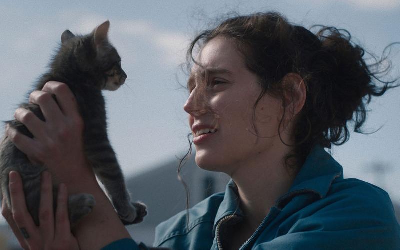 Талантливое начало: 10 лучших дебютов 2025 года