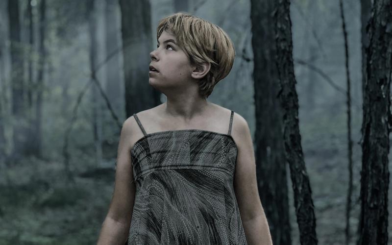 «Граница» Дмитрия Давыдова: Ужасы на опушке леса