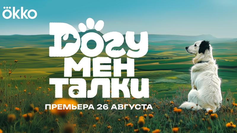Okko выпустит «Догументалки» — фильмы, снятые специально для собак