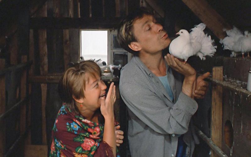 О Москве, голубях и любви: Фильмы Владимира Меньшова