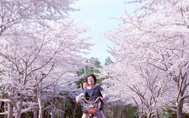 Китано, Корээда и Хамагути: 10 современных японских фильмов от 10 прекрасных режиссеров