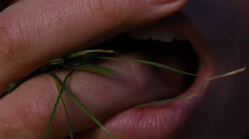 Необычные билборды «Грозового перевала» появились в Лондоне, Нью-Йорке и Лос-Анджелесе