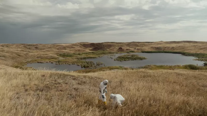 Названы победители фестиваля «Докер»