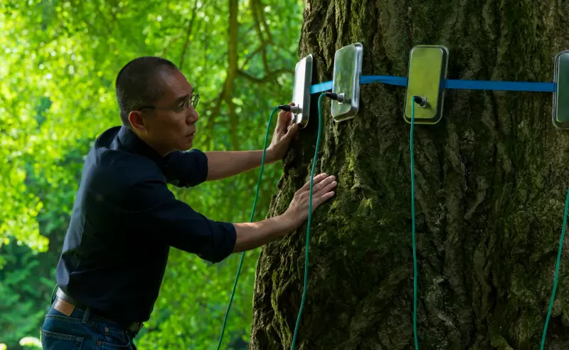 «Молчаливого друга» с Леа Сейду и Тони Люн Чу-Ваем покажут в России