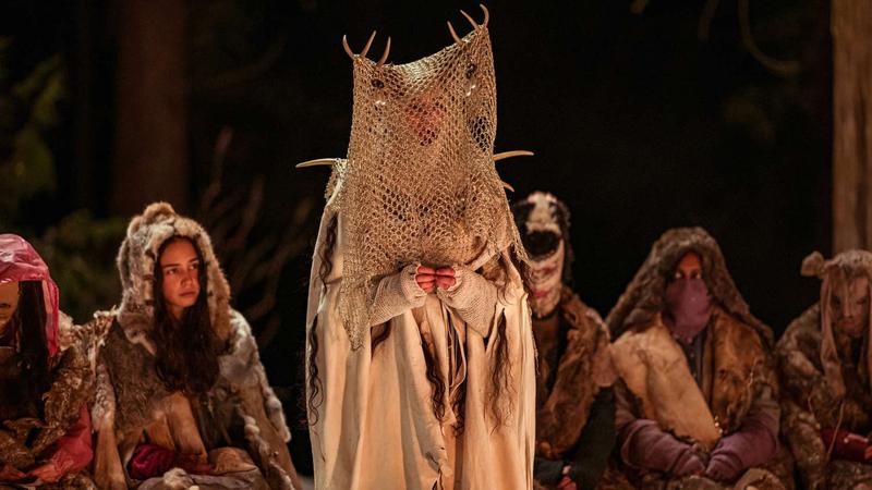 Сериал «Шершни» завершится после четвертого сезона