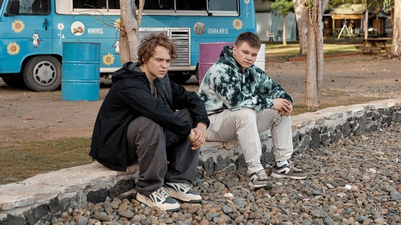 Тизер-трейлер второго сезона сериала «Пингвины моей мамы»: Родитель на замену