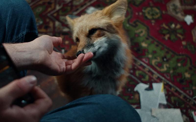 Почему не стоит пропускать сериал «Как приручить лису» о поисках маньяка в тайге