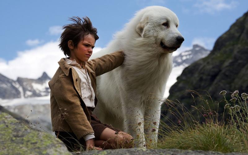 Ребята и зверята: Лучшие фильмы про животных для детей