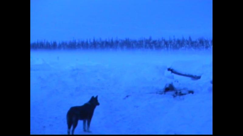 35-й фестиваль «Послание к человеку» назвал победителей