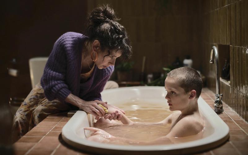 Южная готика, Стивен Кинг, многоликий боди-хоррор: Лучшие фильмы ужасов 2025 года