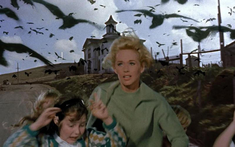 Каких животных можно встретить в триллерах и какие роли они играют?