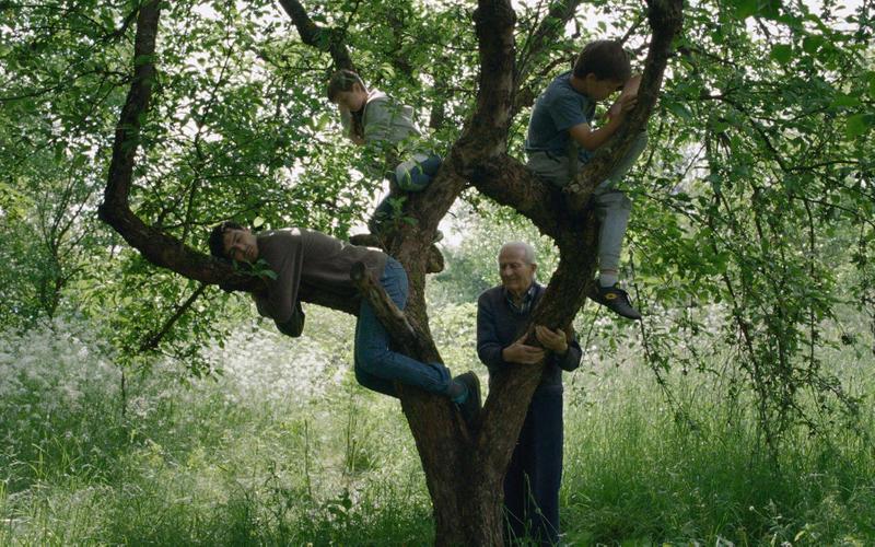 Дом, кино, телевидение и старые раны: Лучшие документальные фильмы 2025 года