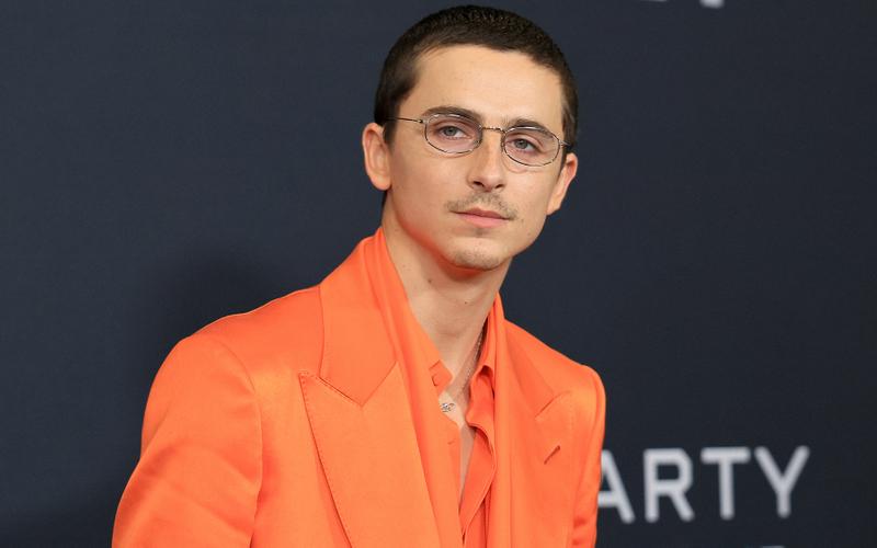 Малый повзрослел: Как менялся образ Тимоти Шаламе и почему все до сих пор от него без ума