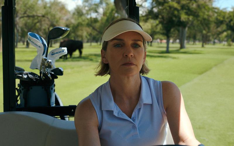 Как завершился первый сезон сериала «Одна из многих» Винса Гиллигана