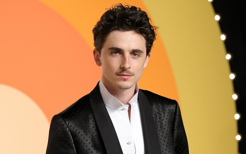 Тимоти Шаламе против Итана Хоука: У кого из номинантов за лучшую мужскую роль больше шансов на «Оскаре-2026»