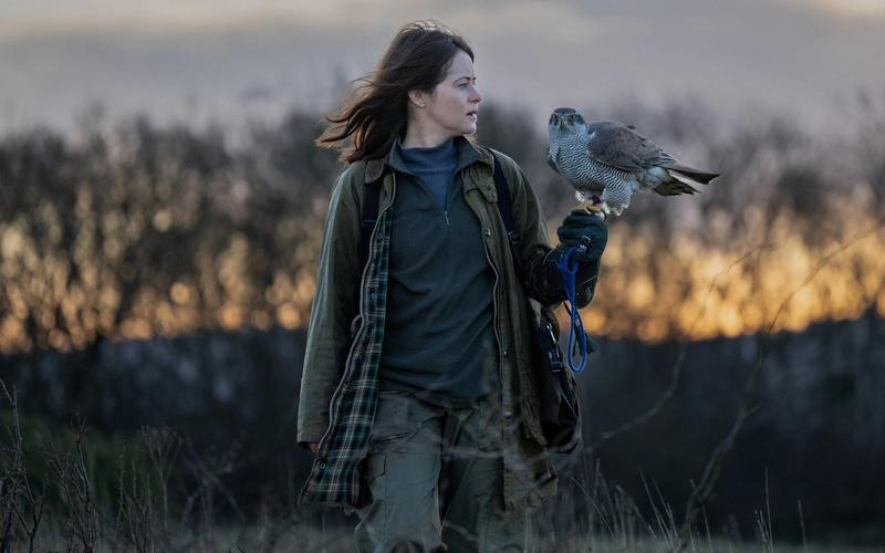 «Я — значит Ястреб» с Клэр Фой и Бренданом Глисоном: Женщина и птица