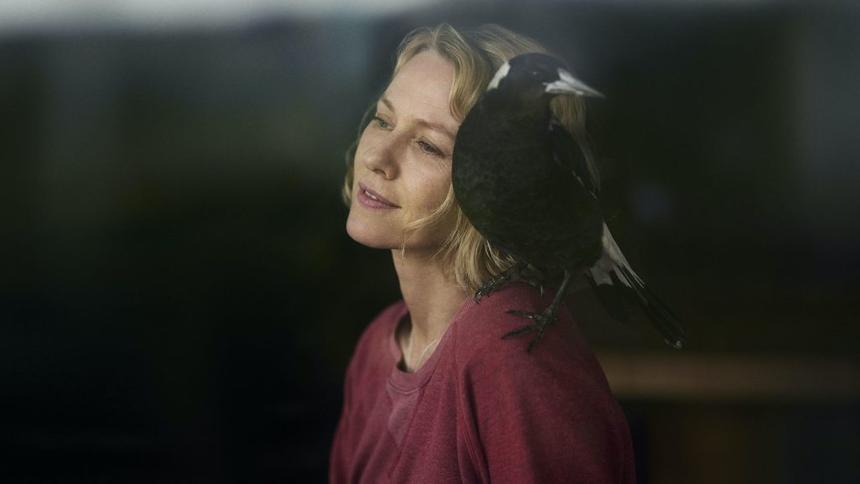 «История семьи Блум»