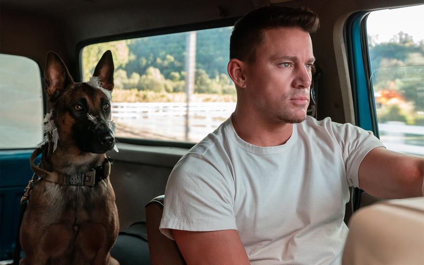 «Лулу и Бриггс»